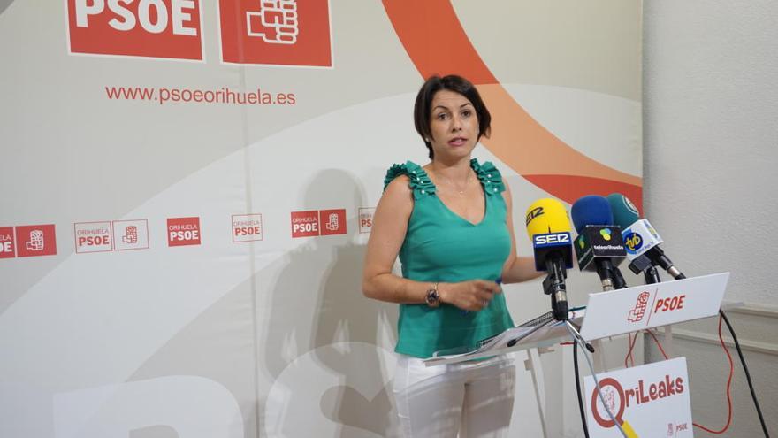 El PSOE desvela que el gobierno no tiene la partida prometida para la zona deportiva de Molins