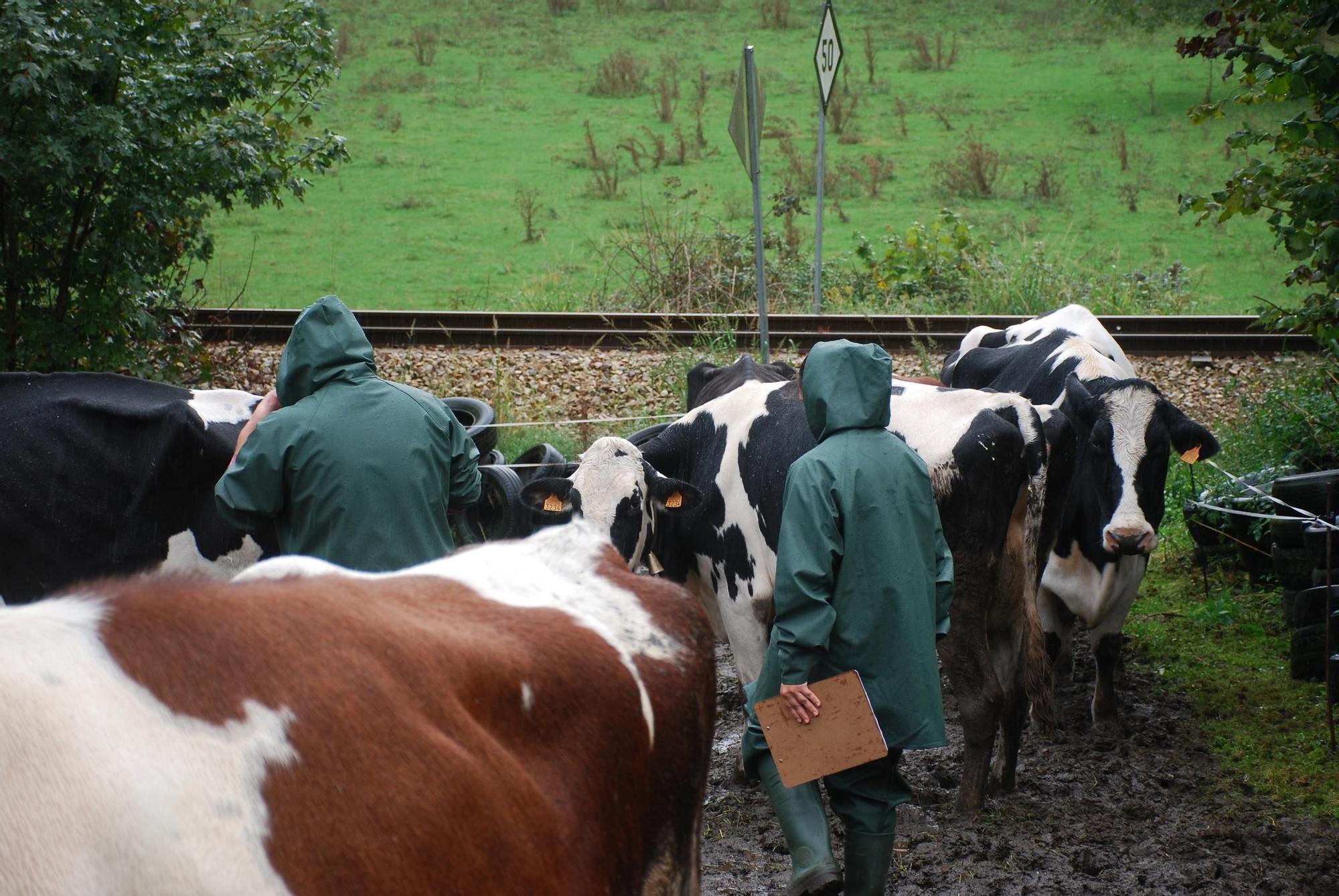 Crimen de Cueves (Ribadesella)