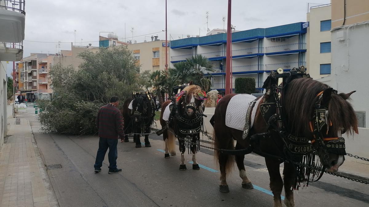 El traslado se ha llevado a cabo por distintas calles de la localidad.