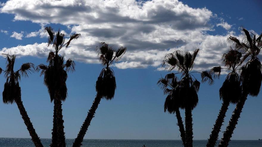 España hace historia con 677 playas con bandera azul, 35 más que en 2025