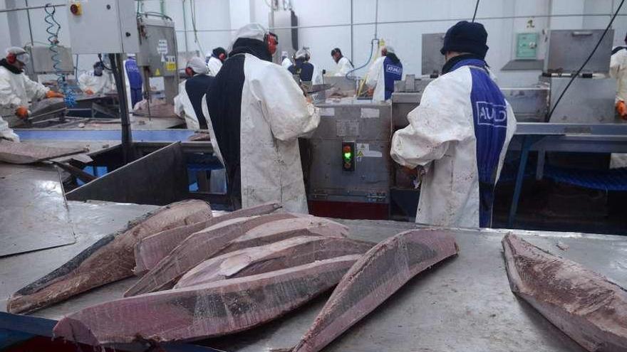 Trabajadores en una fábrica de atún en Cambados. // Noe Parga