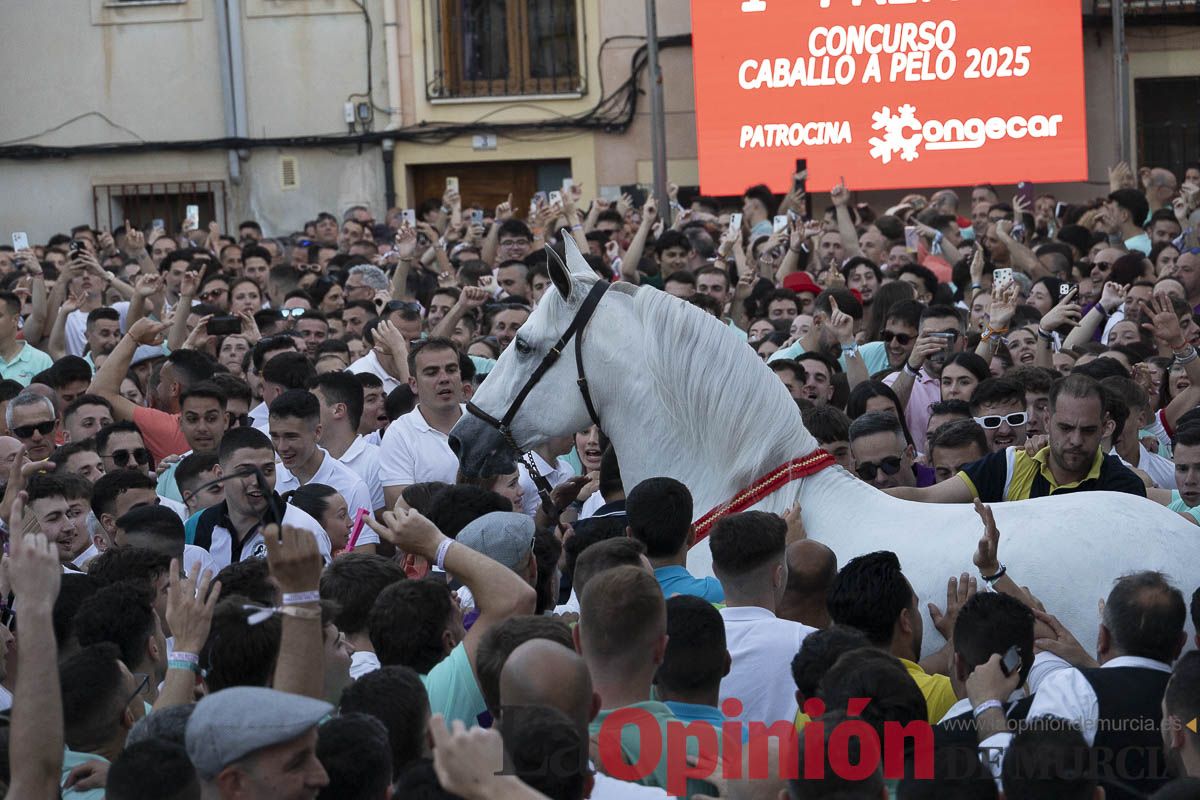 Fiestas de Caravaca | Entrega de premios del concurso morfológico