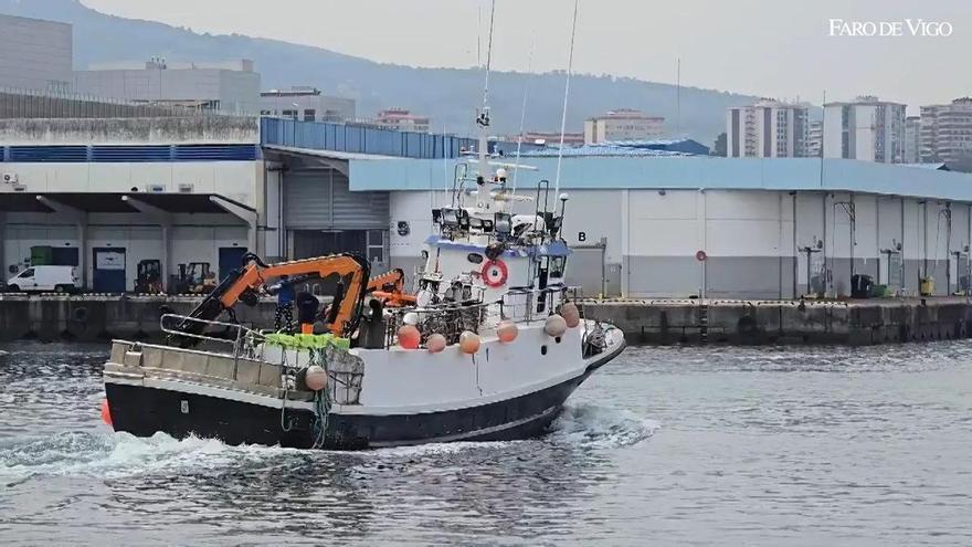 El cerco sale a por sardina para San Juan con el precio medio más alto en ocho años