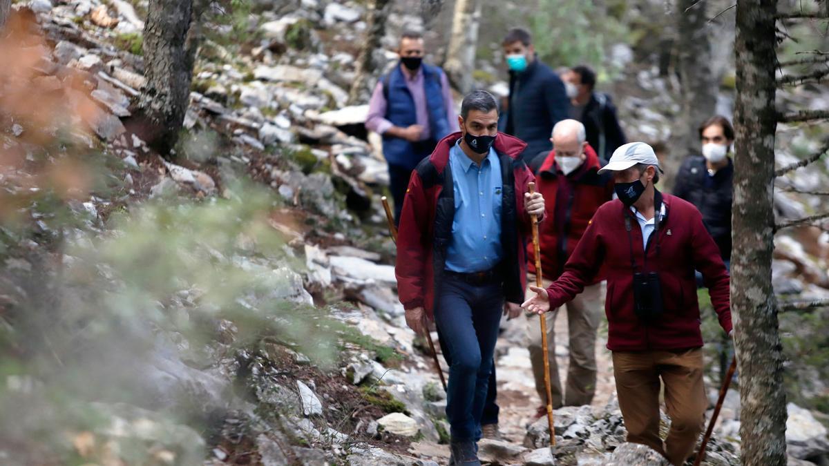 El presidente Sánchez visita la Sierra de las Nieves