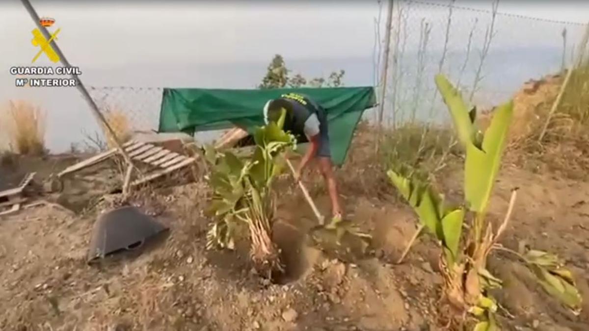 Un agente inspecciona la finca de los sospechosos en Maro.