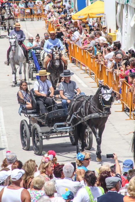 Feria de Sevillanas de Torrevieja 2018