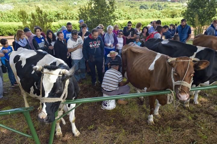 Celebración del Día de las Tradiciones