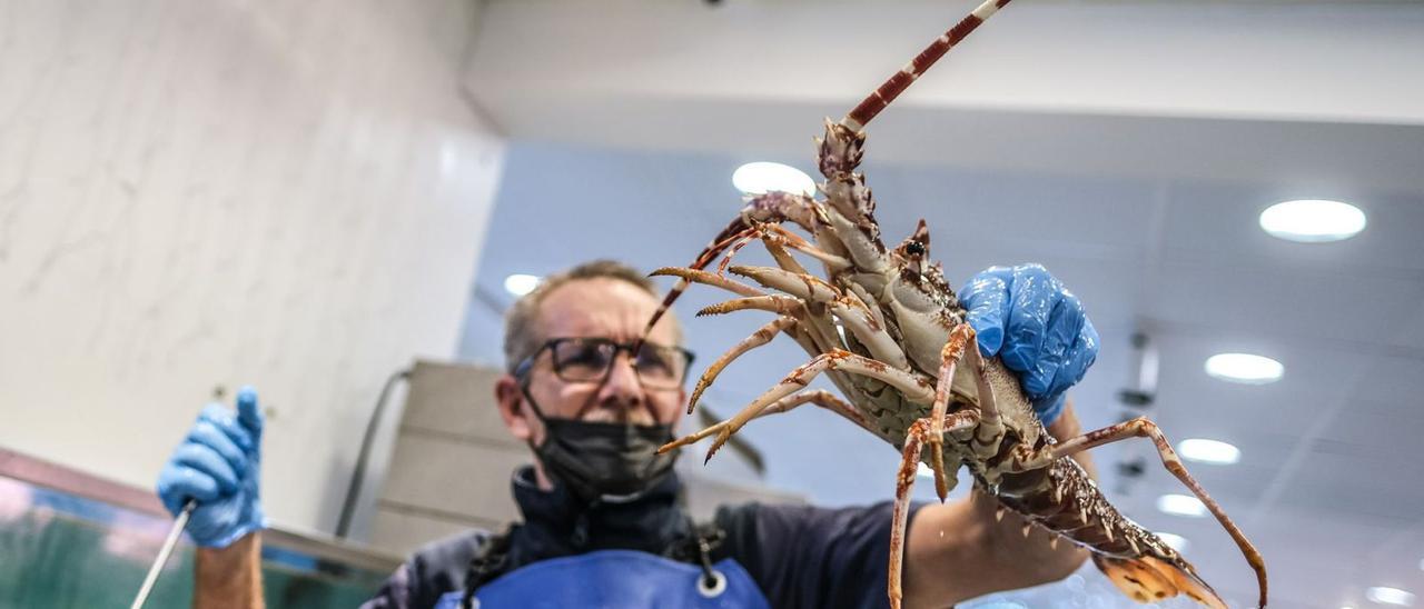 Un pescadero enseña una langosta preparada para las navidades en el Mercado Central de la capital grancanaria.