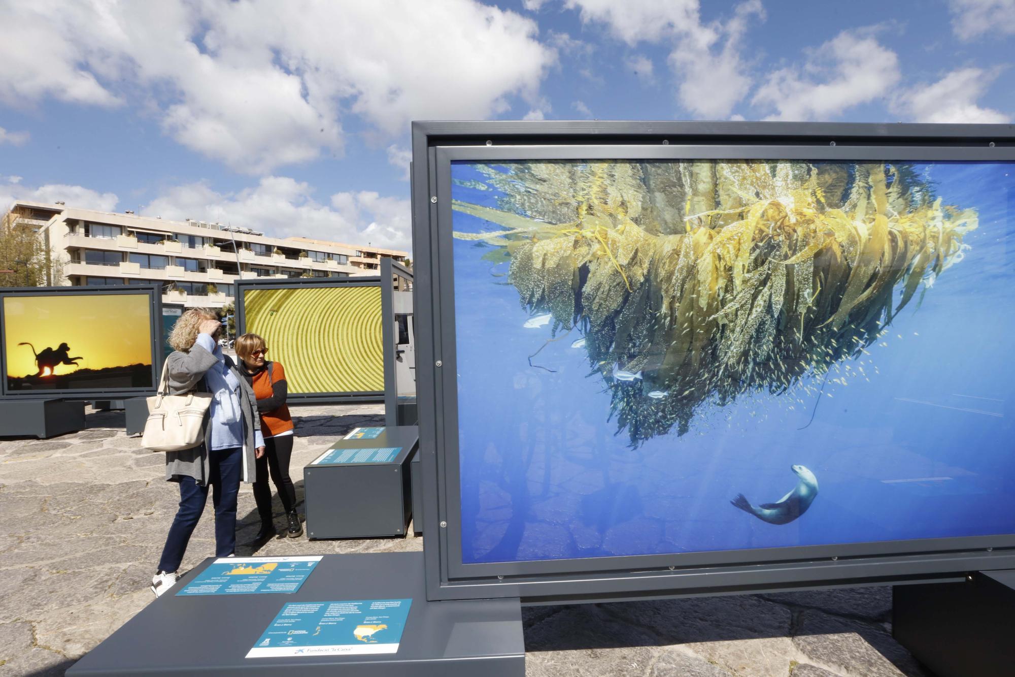 Galería de imágenes de la exposición de fotografías de la Fundación la Caixa en Ibiza