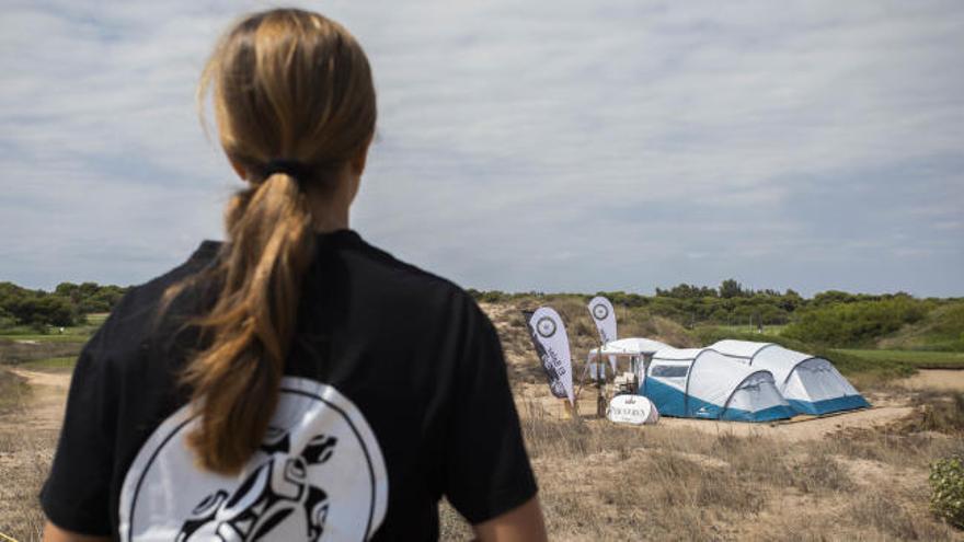 Ochenta huevos de tortuga Boba nacerán en El Saler los próximos días