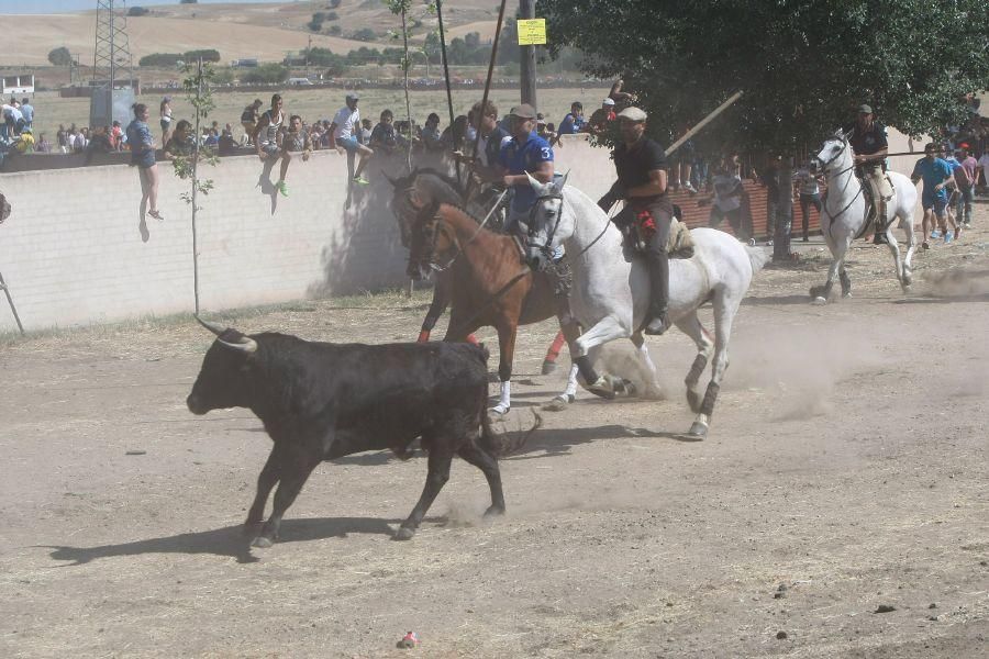 Fiestas en Zamora: Segudos espantes de Fuentesaúco