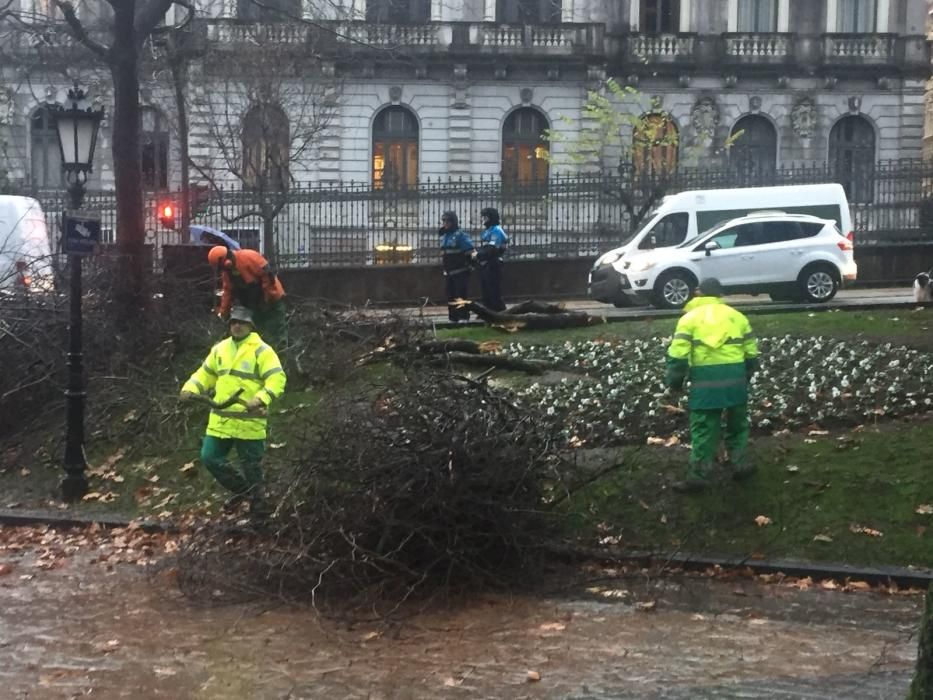 Destrozos en El Escorialín