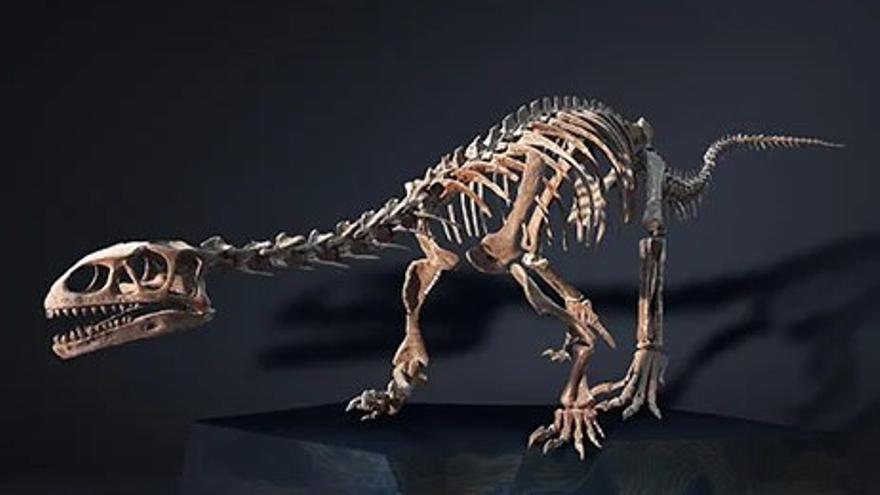 Dinosaurios de la Patagonia