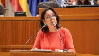 El Gobierno de Aragón llama a atraer "nuevos proyectos industriales" que aprovechen la energía recortada al Nudo Mudéjar