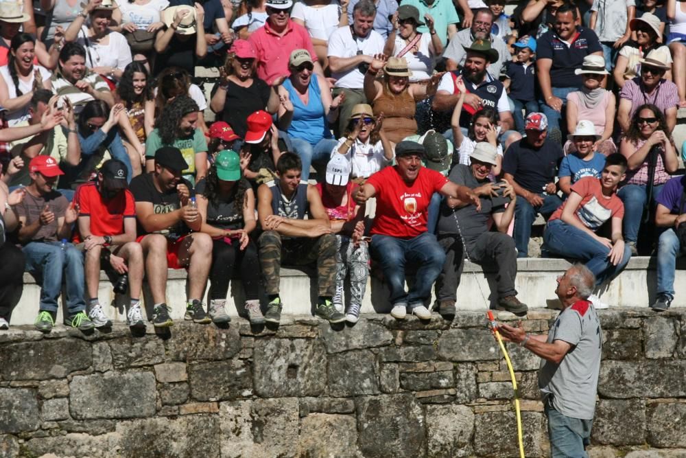 Más de quince "aloitadores" raparon a cerca de 200 caballos en el primer curro de Sabucedo