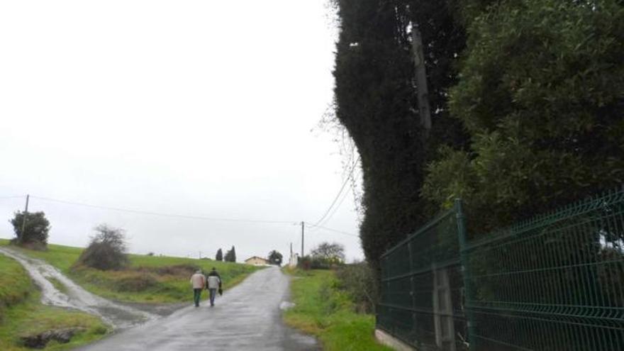 Uno de los focos de luz de la vía, tapado por los árboles. | m. g. s.