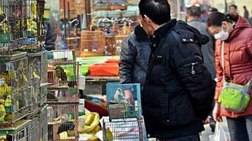 ¿Todo lo que se mueve se puede comer?