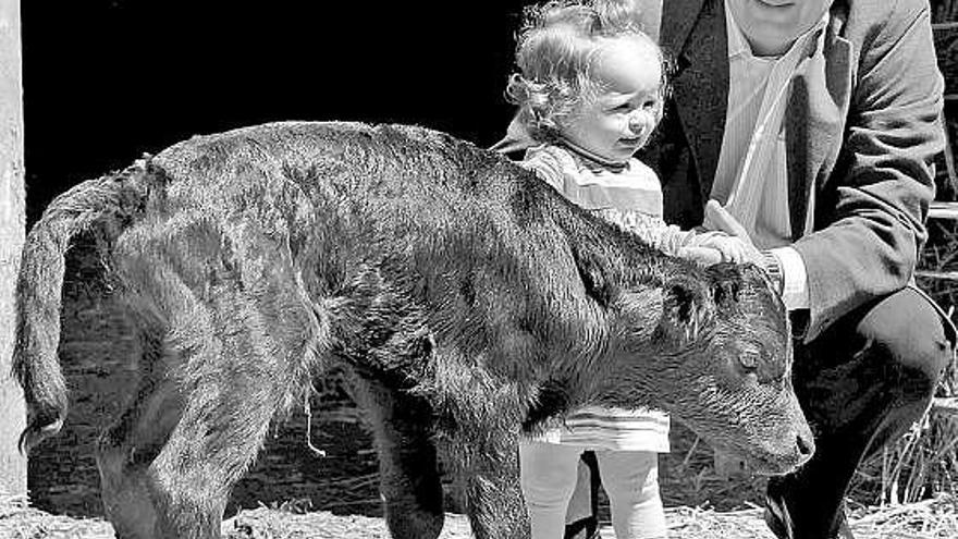 El ganadero Javier Azpeleta y su hija, junto a «Got», el primer toro bravo clonado, que se presentó ayer en Palencia.
