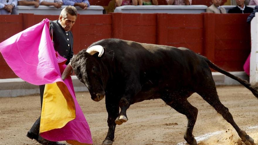 Toros gratis para &quot;señoras acompañadas&quot; en Zamora