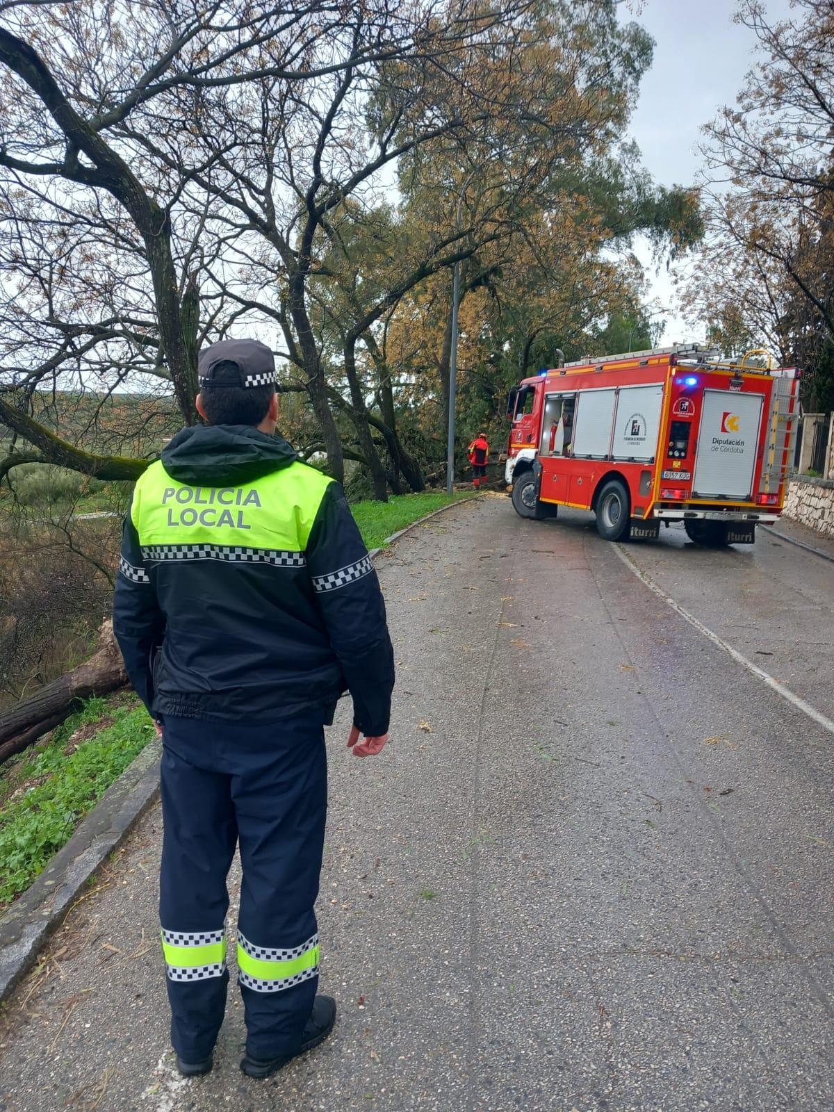 Intervención de los bomberos del Consorcio en Cabra.