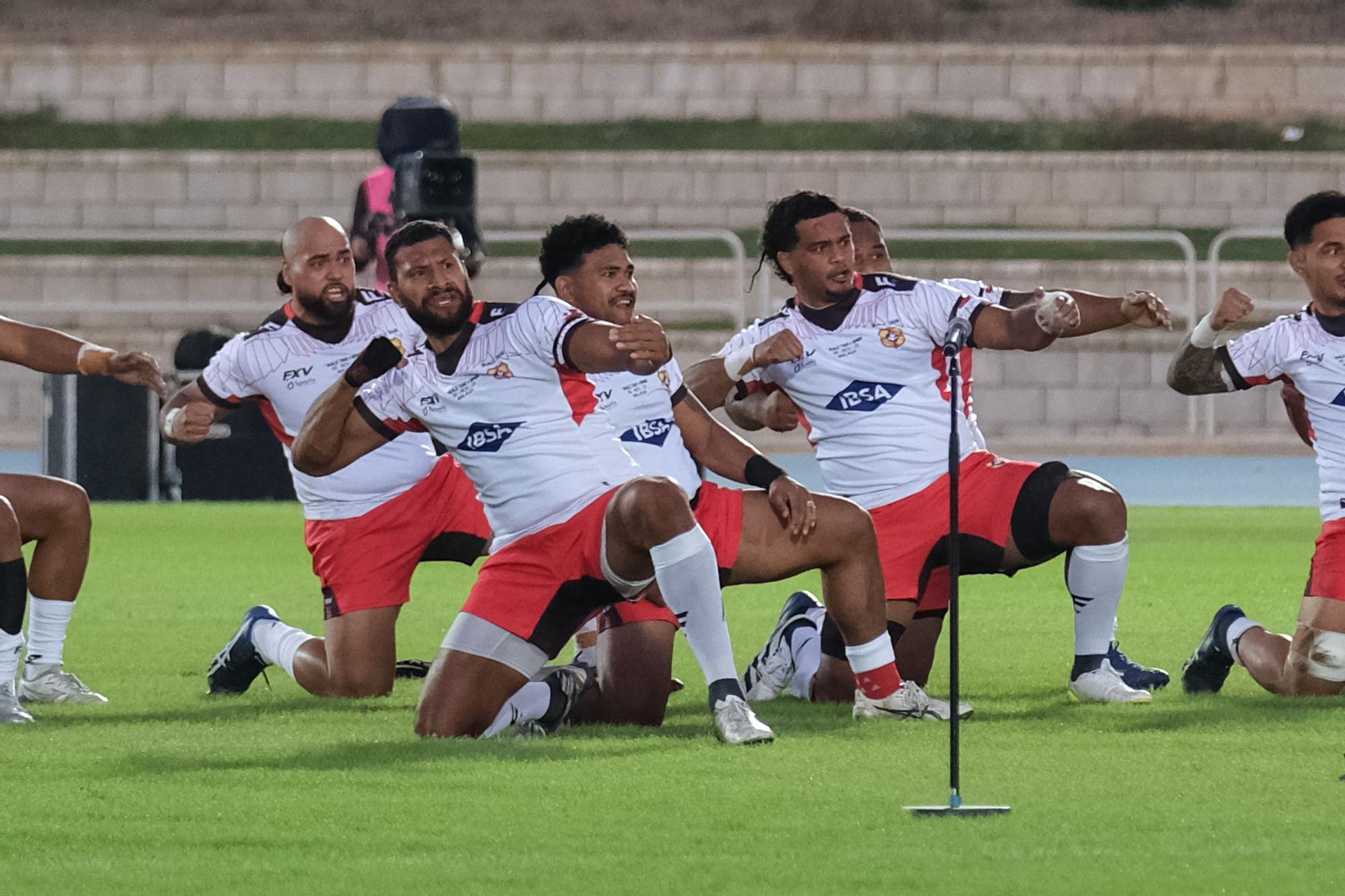 Málaga disfruta del España - Tonga de rugby