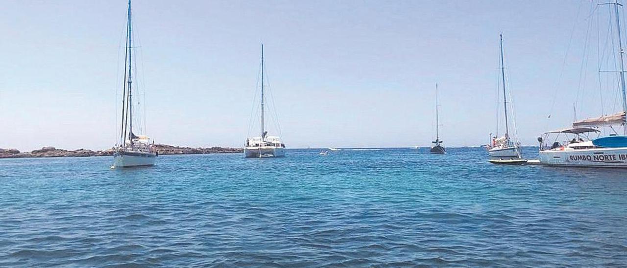 Los fondeos deben tener en cuenta las praderas de posidonia, que están protegidas.