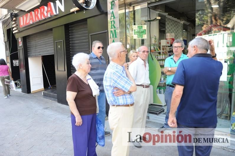 El día después de la caída de la rama del ficus de