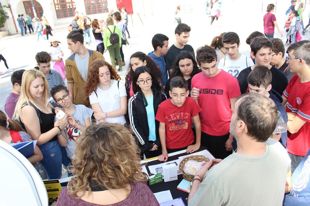 Actividades de la III Marxa Escolar per l'Horta