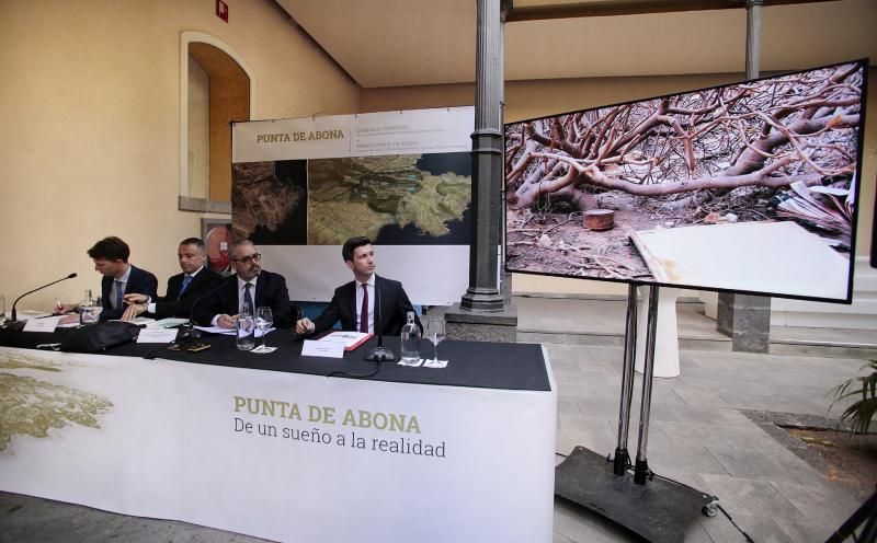 Proyecto turístico Punta de Abona