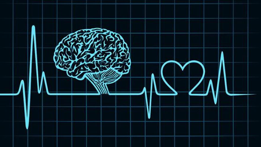 La conexión del corazón y el cerebro está presente en el momento del fallecimiento.