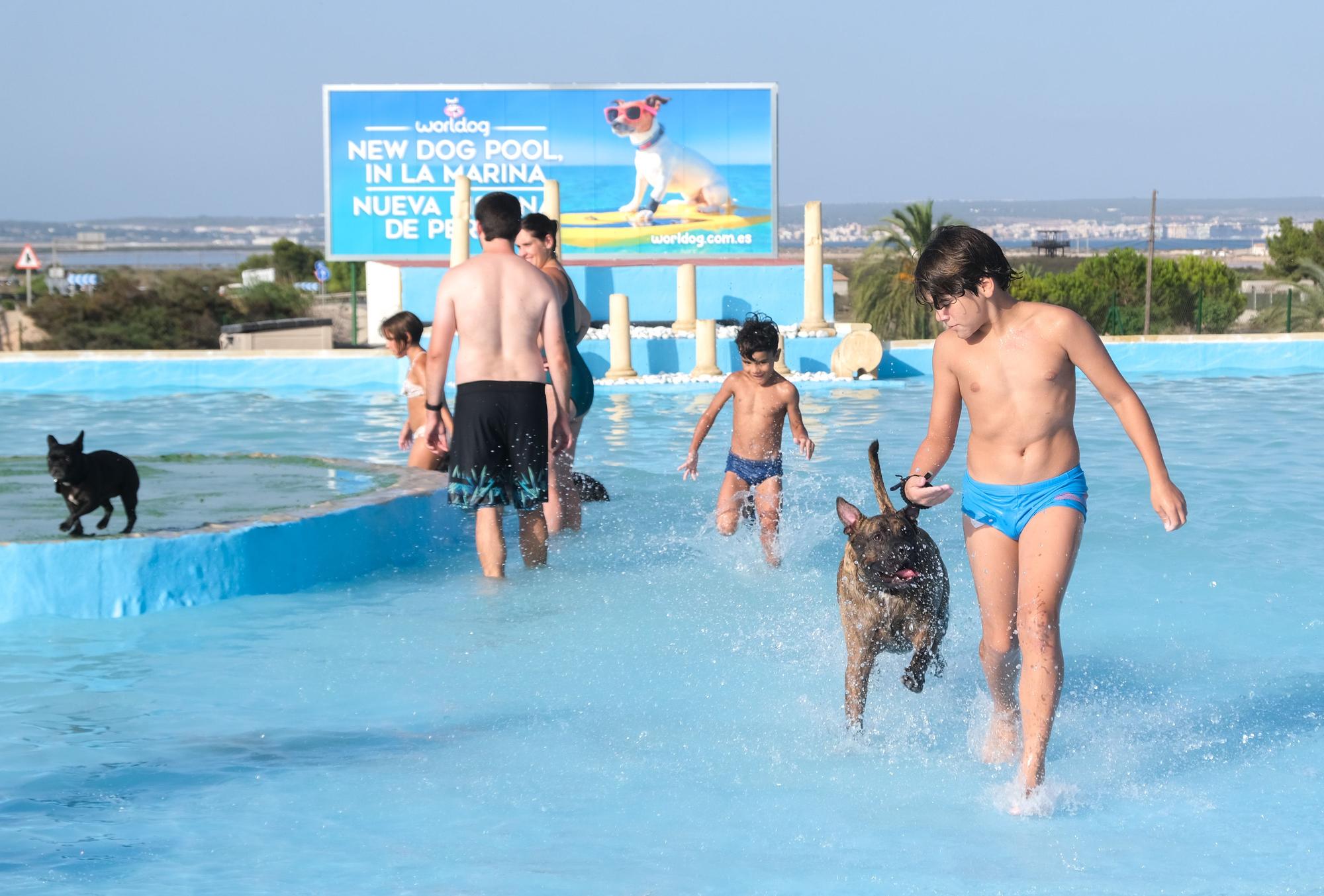 Así es la nueva piscina para perros que ha abierto en La Marina