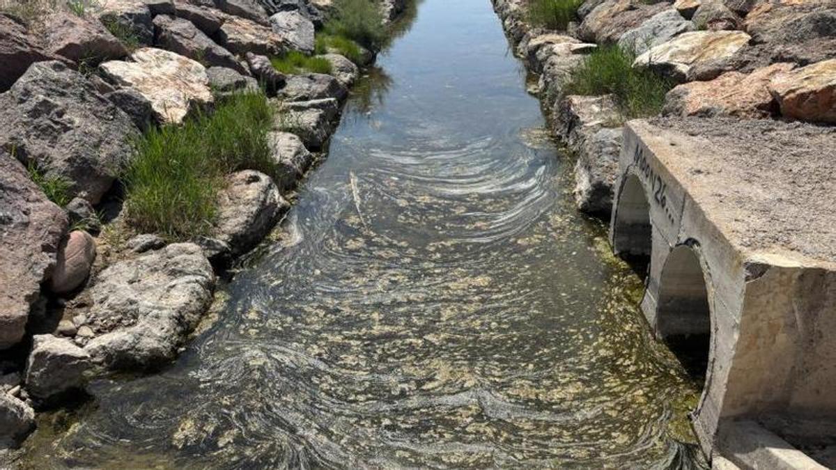 Estado actual del canal de Ciudamar.