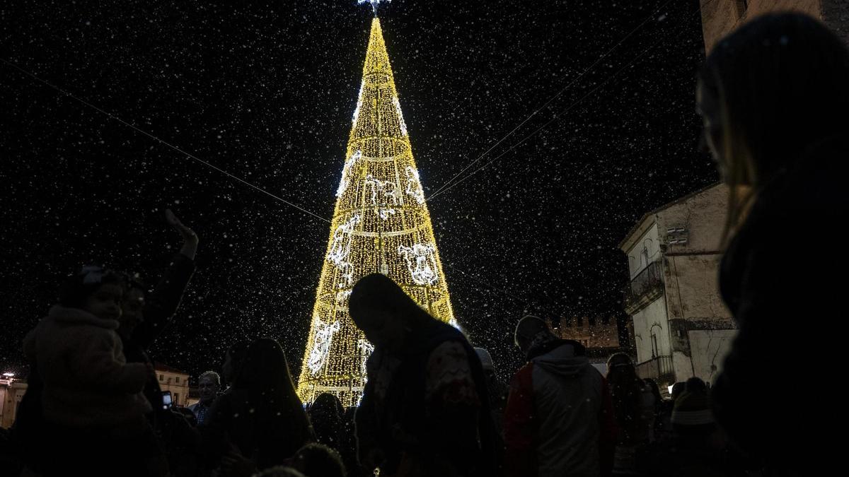 Abeto navideño iluminado en la Plaza Mayor de Cáceres.