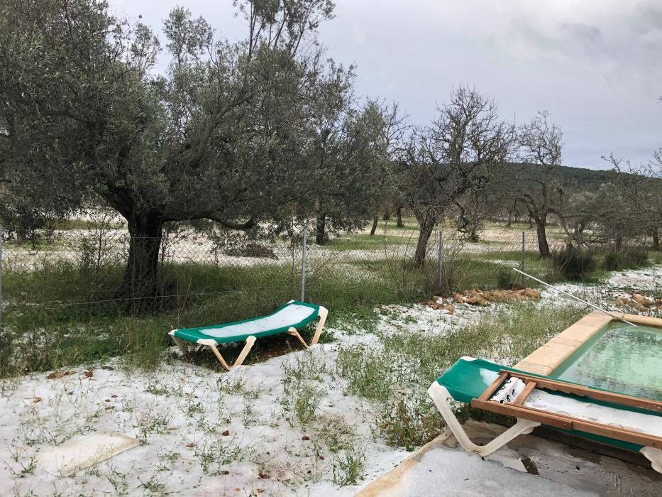 El Pla de Corona en Ibiza amanece con una capa blanca de granizo