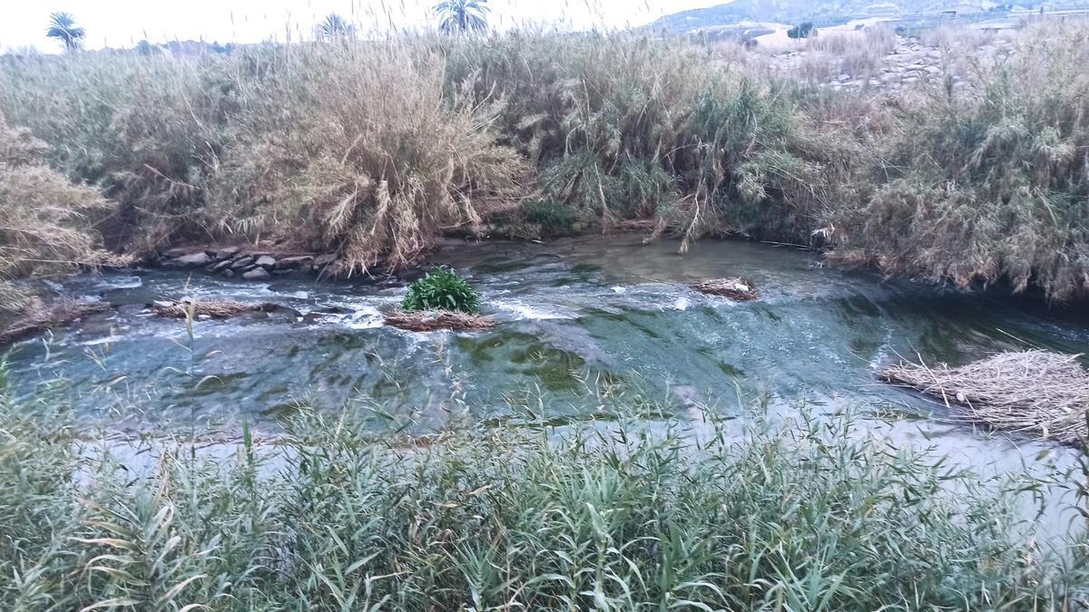 Azud de Alfeitamí en el cauce del Segura a su paso por Almoradí