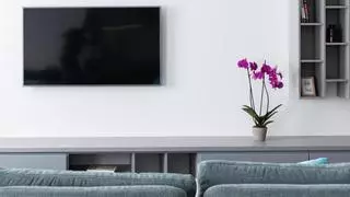 Cómo limpiar la pantalla de tu tele con productos que tienes en casa