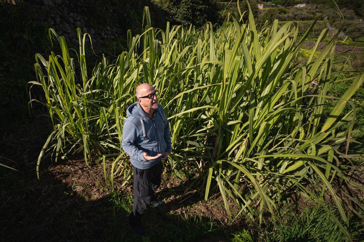 La única destilería de ron artesanal de Tenerife quiere producir un "objeto de deseo"