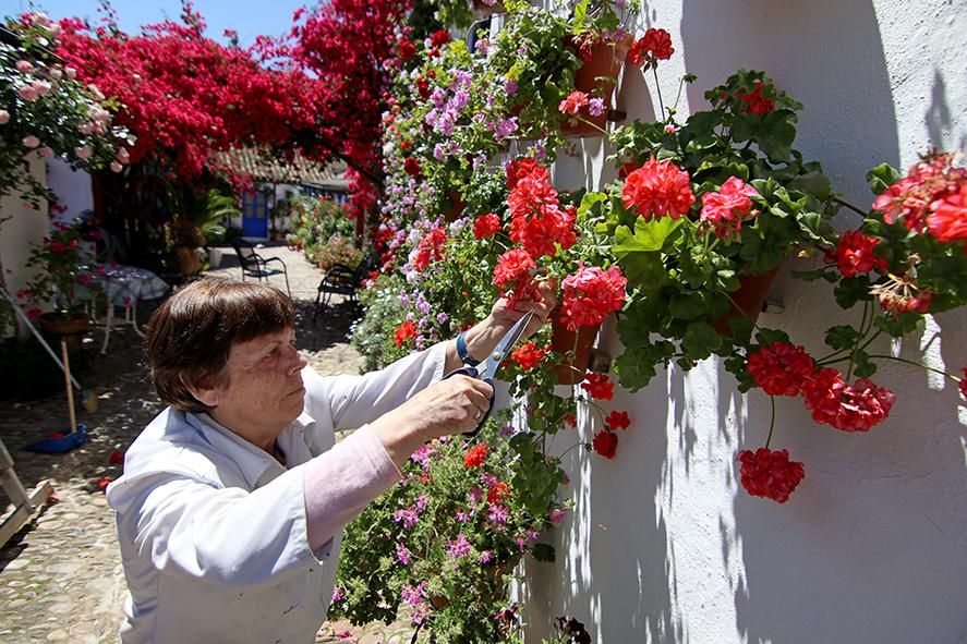 Fotogalería / Los cuidadores dan los últimos retoques a los patios