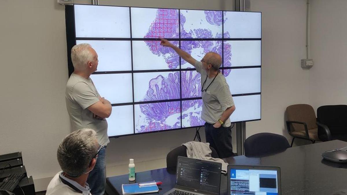 Eduardo Salido, patólogo del Complejo Hospitalario Universitario de Canarias (derecha), examina los resultados del análisis automatizado de una muestra en el muro de visualización de alta resolución del IAC junto con Carlos Luque (sentado), ingeniero informático del IAC, y Carlos Westendorp, astrofísico del IAC.