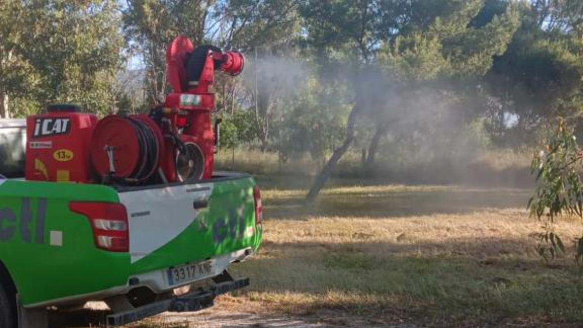El consistorio busca lograr una mayor efectividad para mitigar las molestias que está causando la proliferación de los mosquitos.
