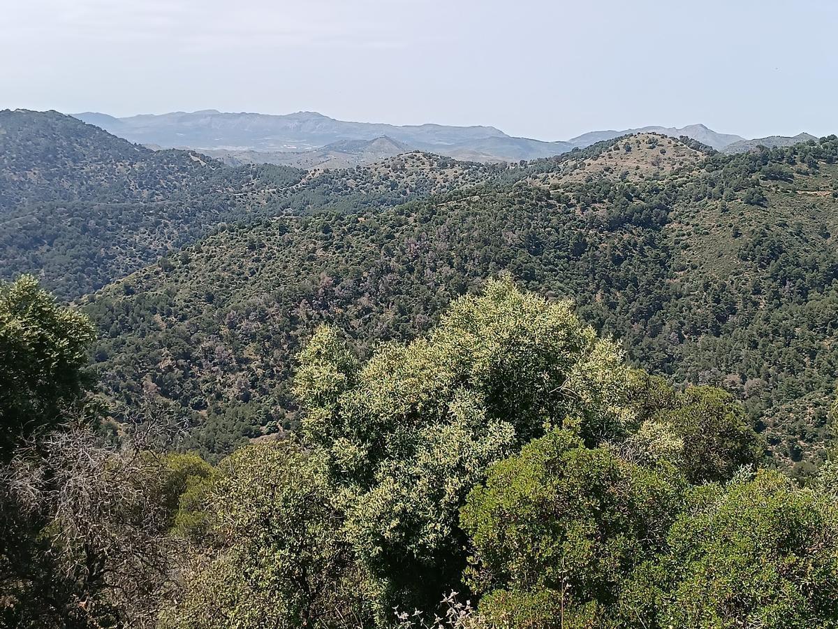 Parque Natural Los Montes de Málaga, uno de los mejores lugares de la provincia para hacer senderismo