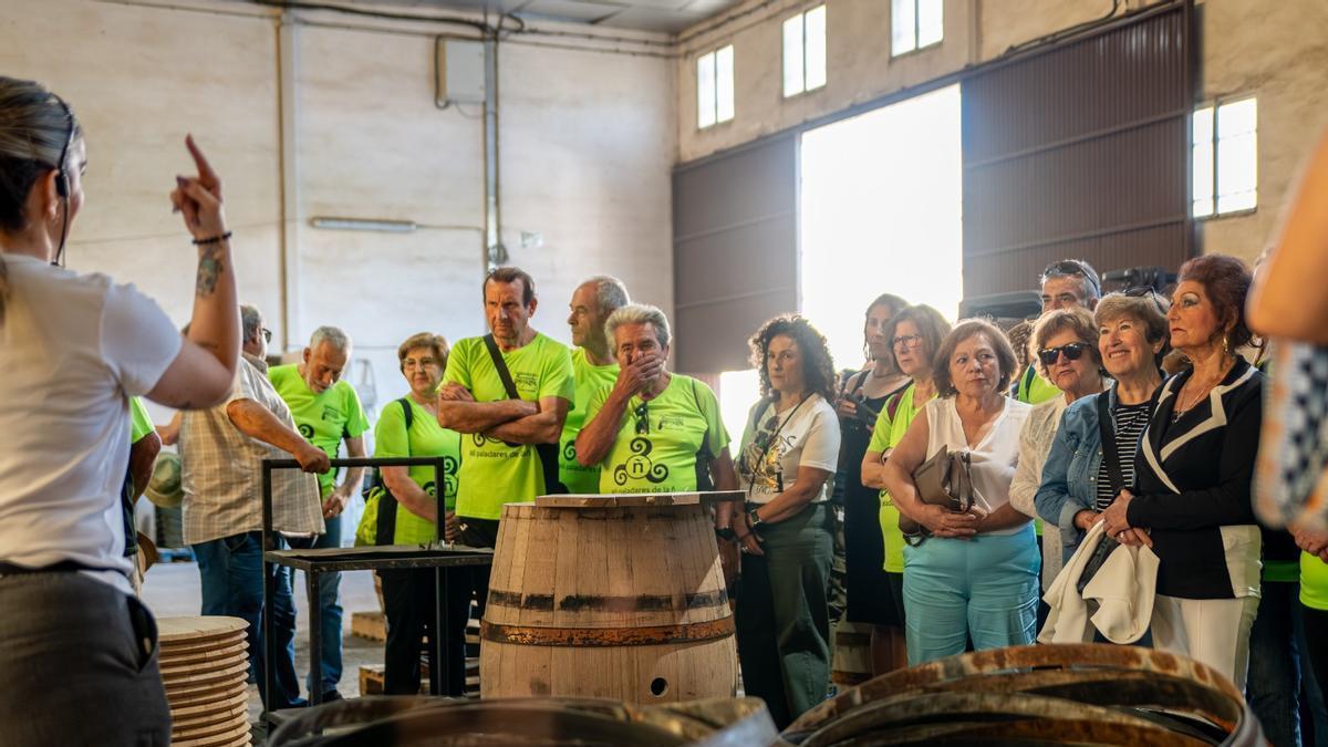 Las 5 rutas ‘ecogastronómicas’ de la Campiña Sur y la Ruta del Vino.