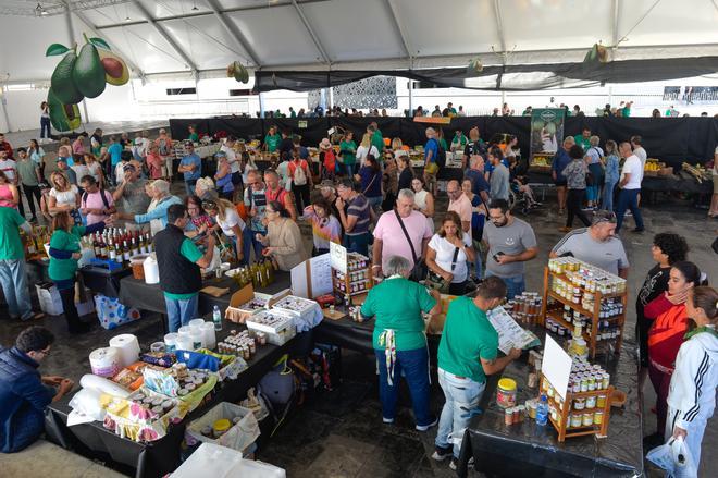 Feria del Aguacate Arguineguín 2022