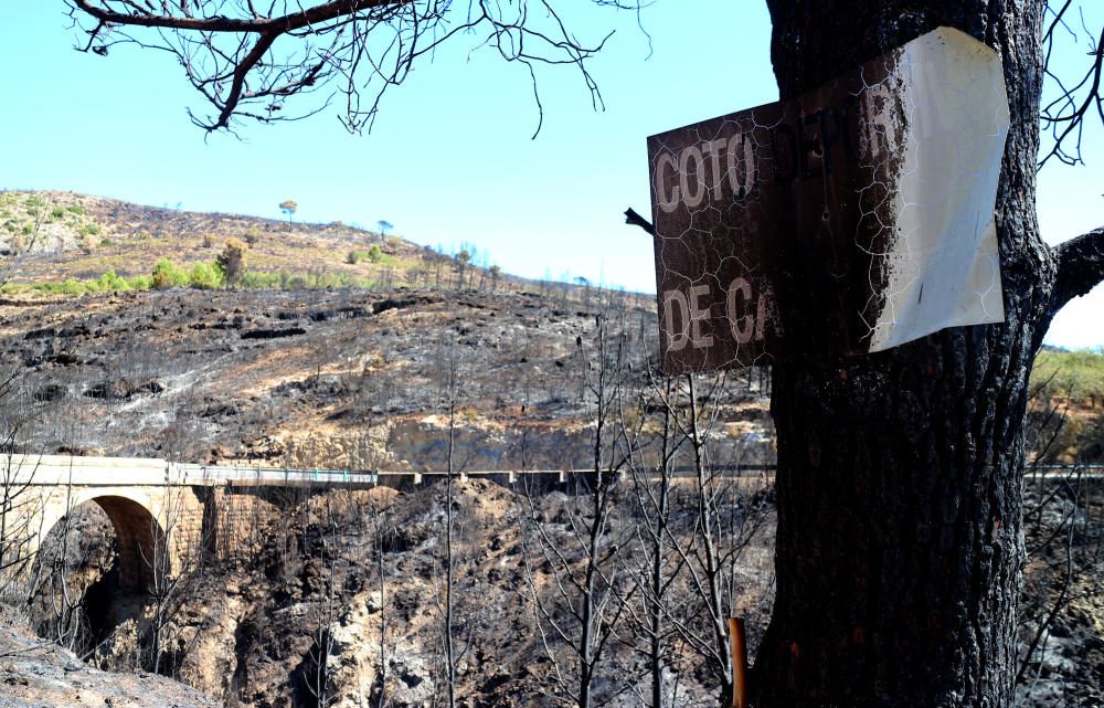 El desolador paisaje de la Calderona tras el incendio