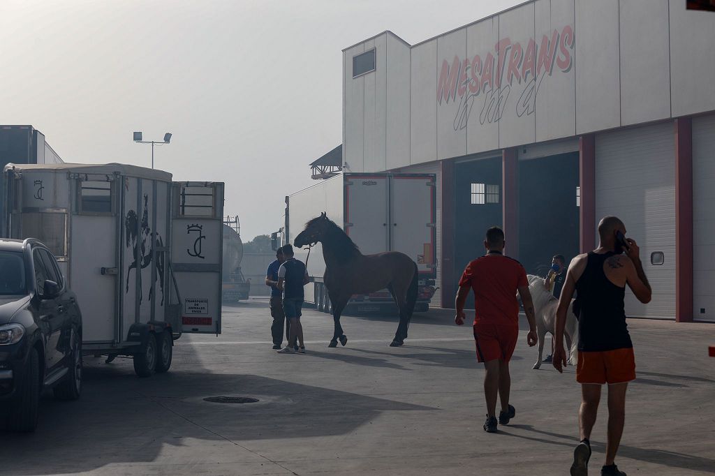 El incendio de la cuadra de caballo de Cartagena, en imágenes