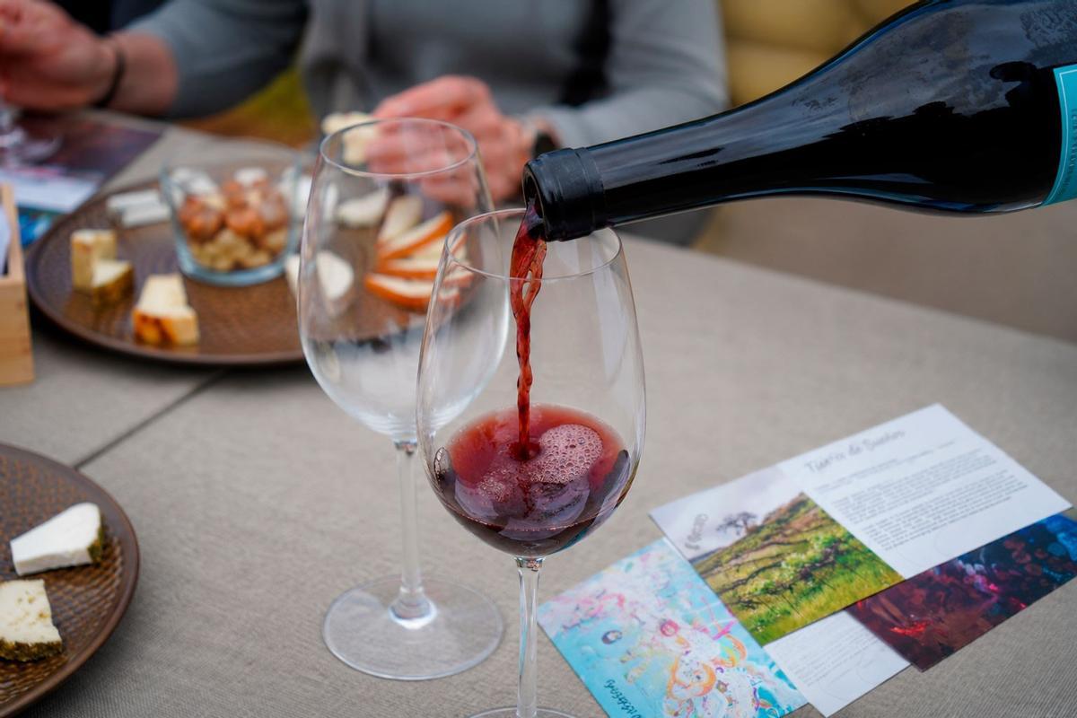 Cata de vinos Piedra Fluida maridados con quesos canarios en un entorno único.