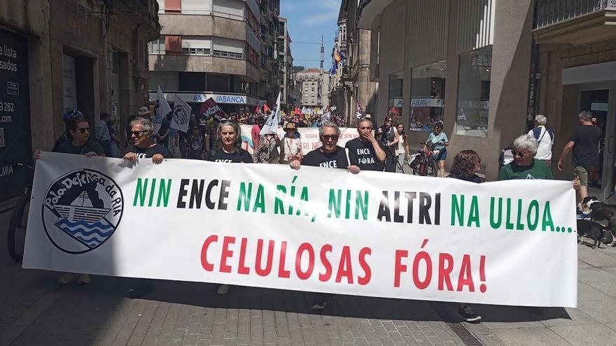 onas marchan en Pontevedra contra las celulosas