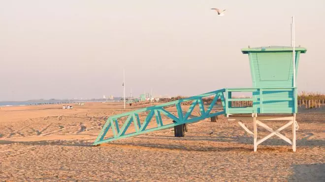 La conocida ciudad de Cádiz que creó la primera playa canina de toda la provincia