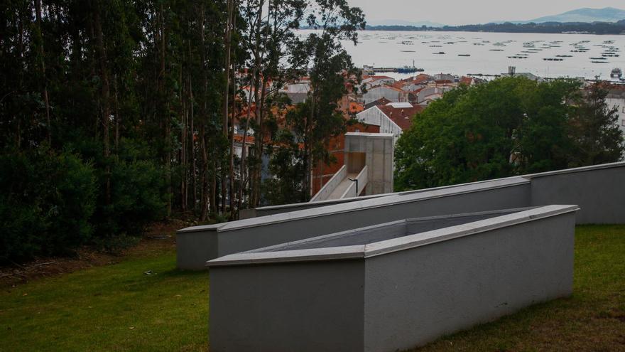 Lanzan piedras de gran tamaño desde lo alto del Auditorio