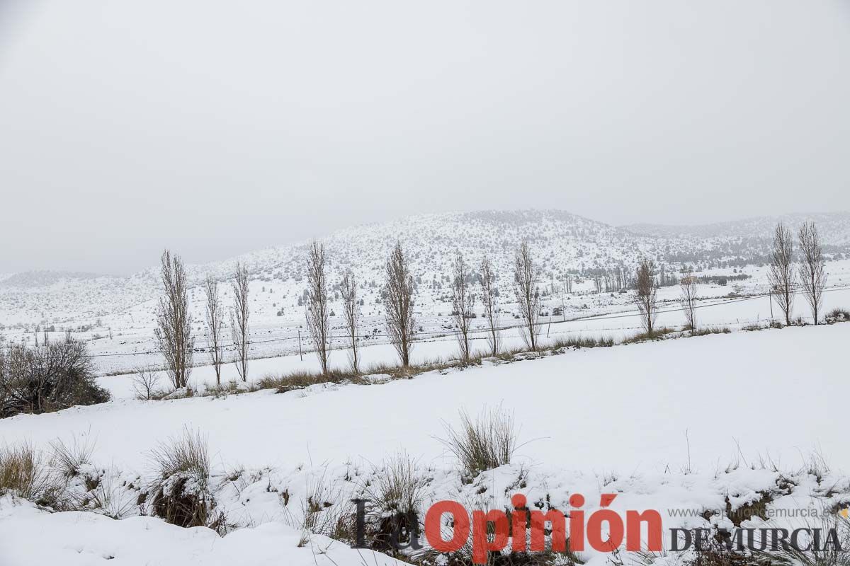 La comarca del Noroeste ofrece una estampa invernal